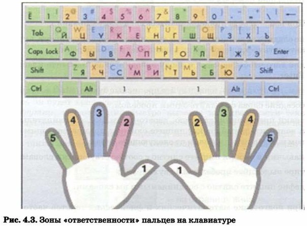 Зоны «ответственности» пальцев на клавиатуре