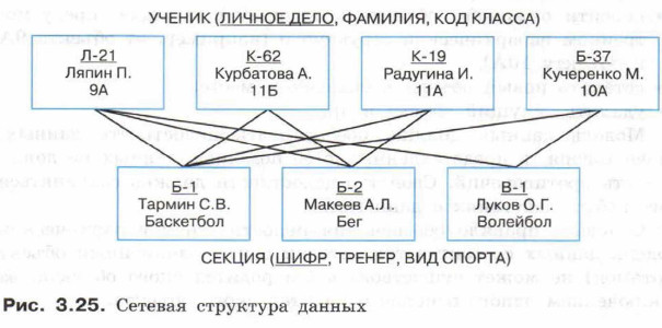 Сетевая структура данных