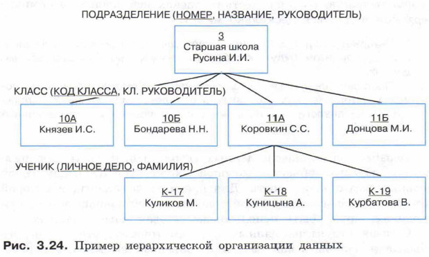 Пример иерархической организации данных